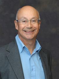 Profile image for Councillor David Collins